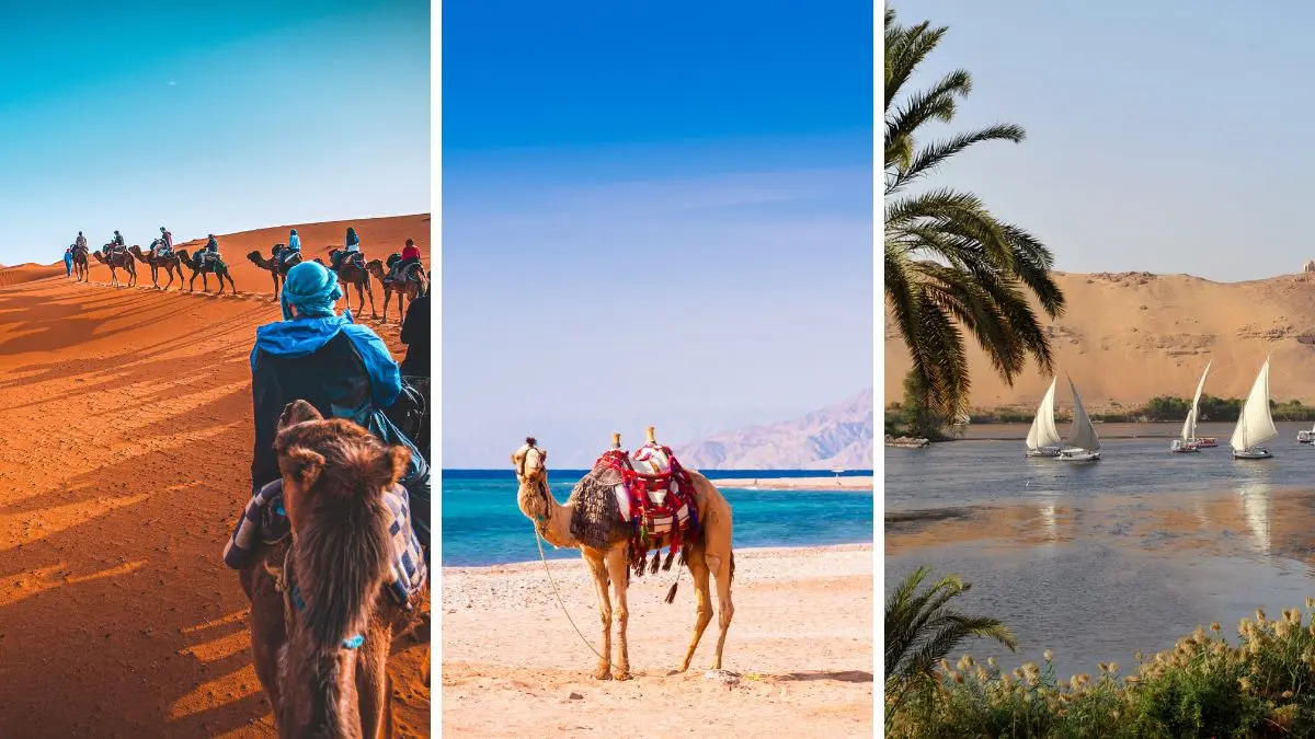 مغامرات في الصحراء الكبرى والبحر الأحمر ونهر النيل في مصر